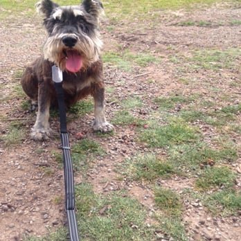 Ed R. Levin County Park - Max - Dog Parks Near Me - Milpitas, California Ed R. Levin County Park - Max - Dog Parks Near Me - Milpitas, California