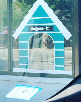 doggone-it!