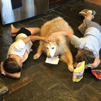 Paws Into Grace - His last moments....... - Pet Hospice Near Me Paws Into Grace - His last moments....... - Pet Hospice Near Me