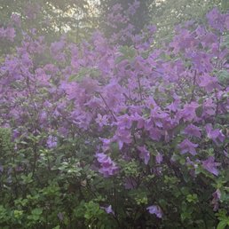 BROOKSIDE GARDENS - Updated January 2026 - 1860 Photos & 301 Reviews