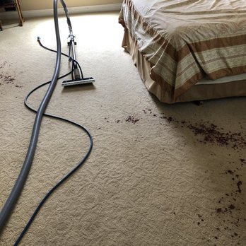 Quick N Clean Carpet Care - Carpet Cleaning Near Me Quick N Clean Carpet Care - Carpet Cleaning Near Me