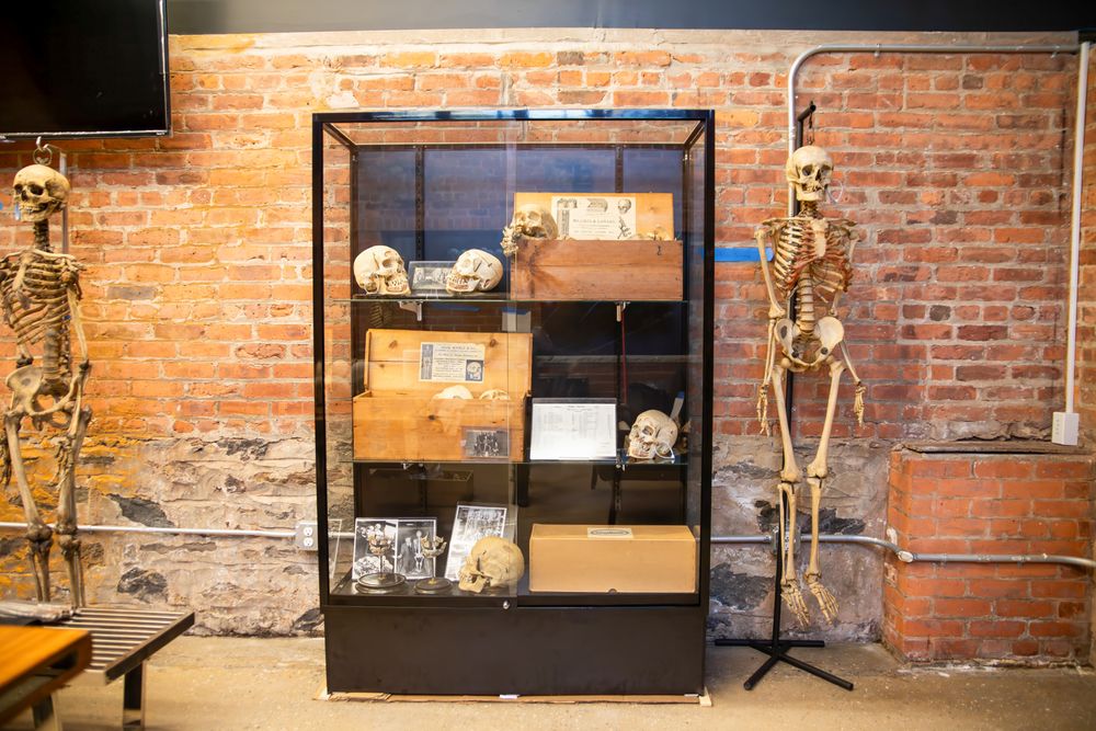The Bone Museum
