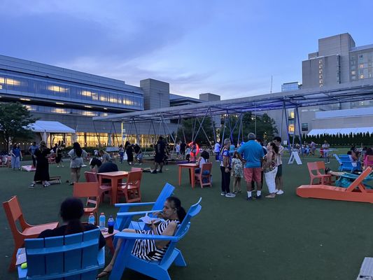 the Lawn on D by null