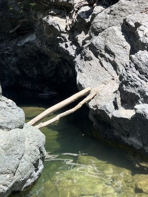 Salmon Creek Falls by null