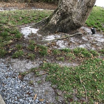 Massey Services - plugs... - Pest Control Near Me - Odessa, Florida Massey Services - plugs... - Pest Control Near Me - Odessa, Florida