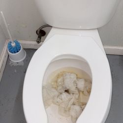 Li'l Gas Store - This is the customers toilet!.