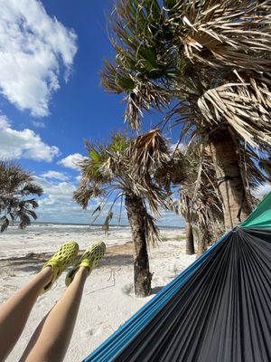 Caladesi Island State Park by null