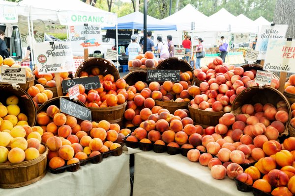 Irvine Farmers Market by null