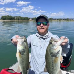 Brad Petersen Outdoors - Largemouth bass fishing can be good action for quality fish. Loveland, Colorado