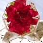 Photo of Aurora Preserved Flowers