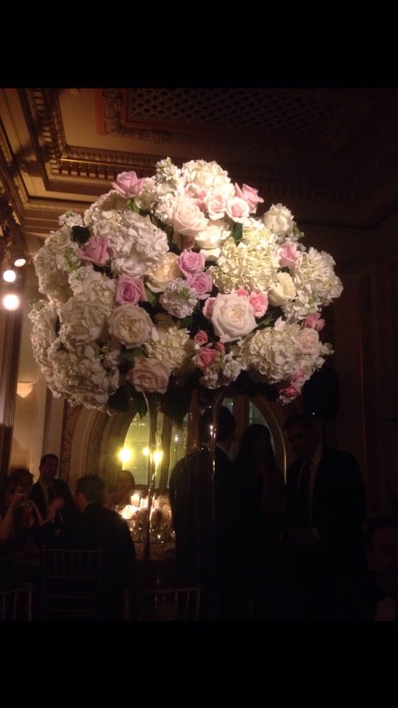 AMARYLLIS Updated May 2024 3701 W St, Landover, Maryland Florists