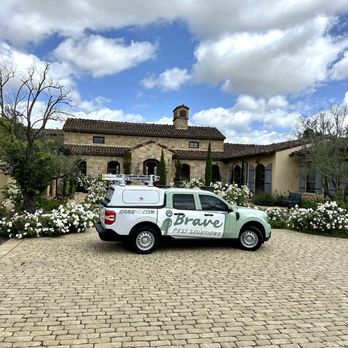 Brave Pest Solutions - Taking care of business - Pest Control Near Me