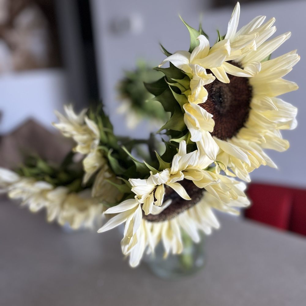 Wilbe Bloomin - Florists Near Me - Toronto, Ontario Wilbe Bloomin - Florists Near Me - Toronto, Ontario