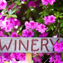 Mount Si Winery