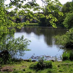 Breitkopfbecken - Am Ostufer.