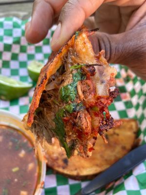 Maestro Tacos by null