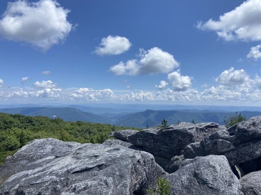 Dolly Sods Wilderness by null