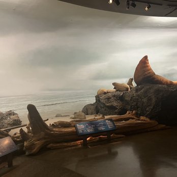 Royal British Columbia Museum - Museums Near Me - Victoria, British Columbia Royal British Columbia Museum - Museums Near Me - Victoria, British Columbia