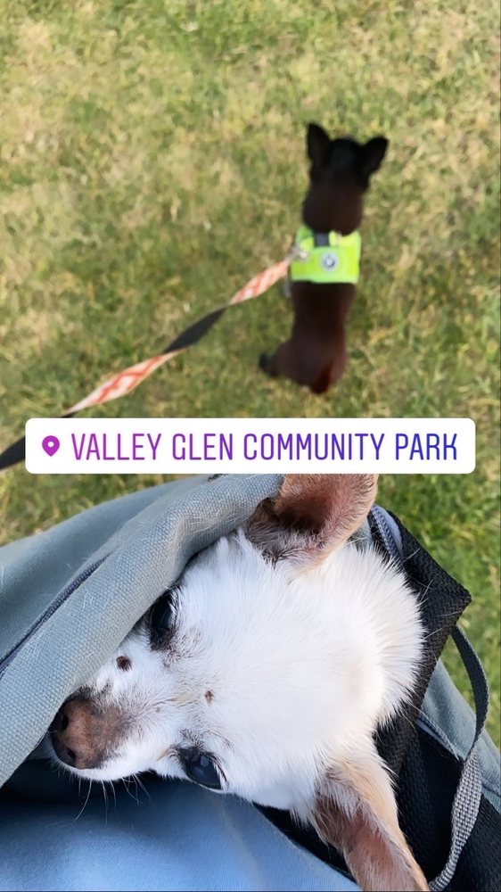 VALLEY GLEN COMMUNITY PARK Updated May 2024 38 Photos & 21 Reviews 13100 Erwin St, Los