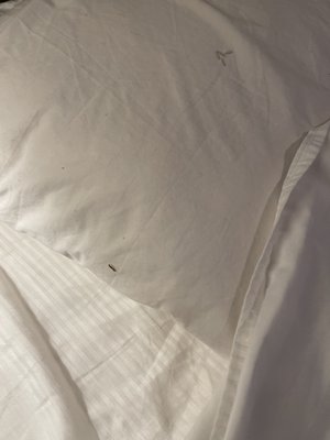 San Juan Hotel South Beach by null