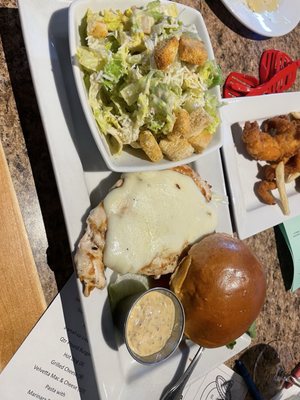 The Thirsty Turtle by null