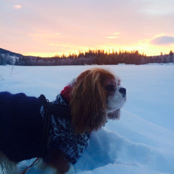 Moen Camping - Nice hiking areas - Mountain Huts Near Me - Hemsedal, 06