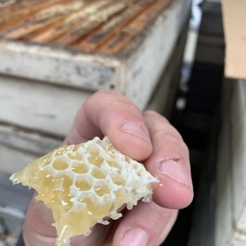 Sierra Honey Farm - Nice lil nibble courtesy of the owner - Specialty Food Near Me - Paso Robles, California Sierra Honey Farm - Nice lil nibble courtesy of the owner - Specialty Food Near Me - Paso Robles, California