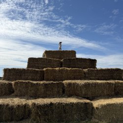 Hay bales to climb
