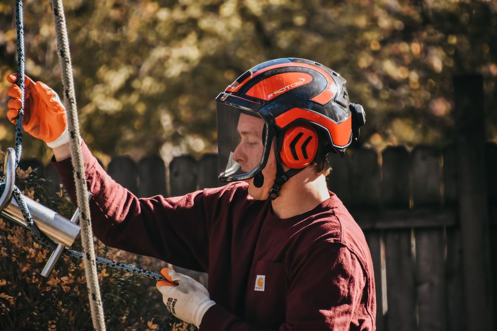 Nova Tree Care - tree service in Indianapolis, IN