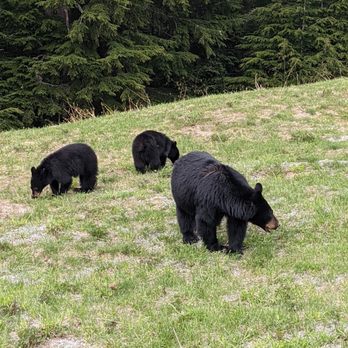 Whistler - Active Life Near Me - Whistler, British Columbia