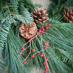 Celebration Tree Farm & Wellness Center
