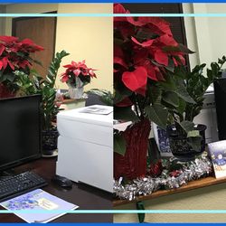 Saigon Immigration - Saigon Immigration, LLC is an Immigration Services Center in Westminster, CA
