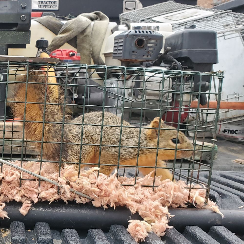 DIAMOND J PEST CONTROL 51 Photos Palmer, Texas Pest Control