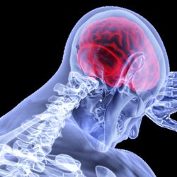 Grewer Law Group - Brain Injuries: What You Need to Know