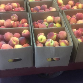 Burg's Corner - Fruits & Veggies Near Me - Stonewall, Texas