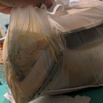 Mopho - Ruined delivery. - Vietnamese Near Me - New Orleans, Louisiana
