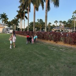 Wellington Amphitheater - Wellington's Thursday night free concert!