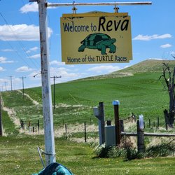 reva store
