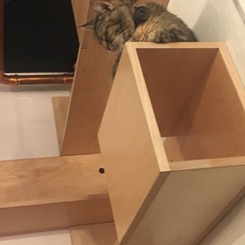 NEKO: A Cat Cafe - Themed Cafes Near Me - Seattle, Washington NEKO: A Cat Cafe - Themed Cafes Near Me - Seattle, Washington