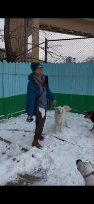 DoGone Fun Resort by null