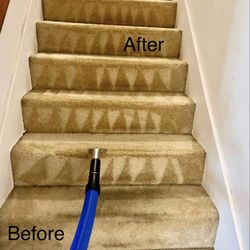 Eco Friendly Carpet Cleaning - eco friendly carpet cleaning
