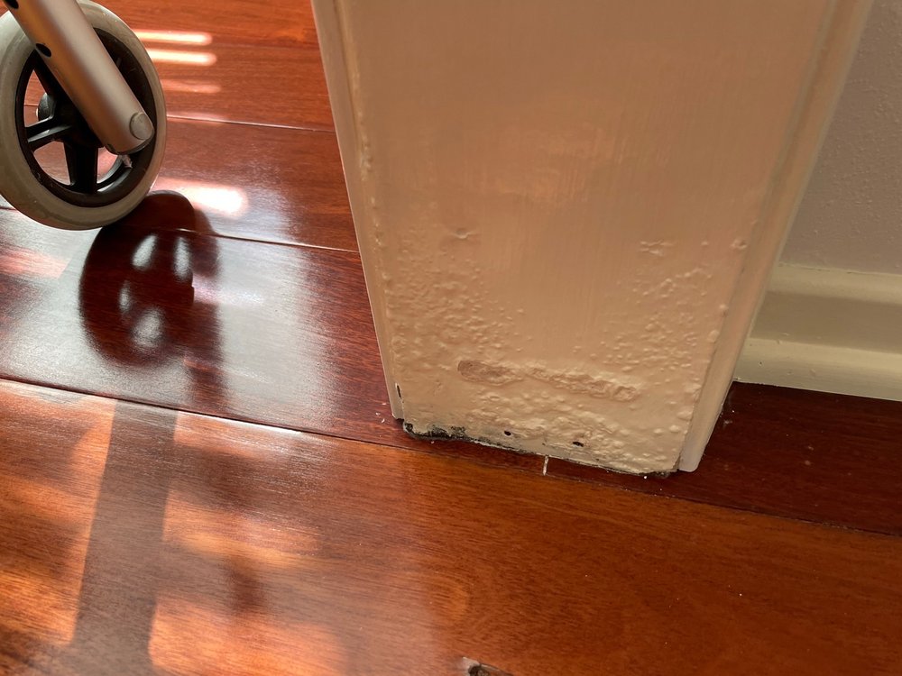 ALLAMERICAN MOLD REMEDIATION AND CONSULTING 163 Photos & 58 Reviews 222 W 6th St, San Pedro