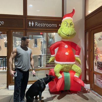 On The Rise Service Dog Training - One out of my favorite client Aries - Pet Training Near Me On The Rise Service Dog Training - One out of my favorite client Aries - Pet Training Near Me