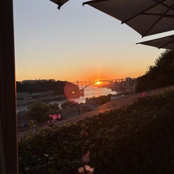 Antiqvvm - Wine Bars Near Me - Porto, 13
