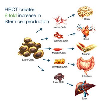 HBOT Now - How it works - Medical Spas Near Me - Englewood, Colorado HBOT Now - How it works - Medical Spas Near Me - Englewood, Colorado