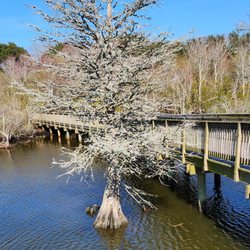 Duck Town Park and Boardwalk
