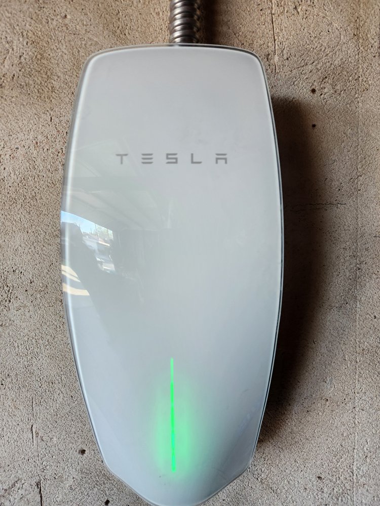 Slide of Honey Bee Electric