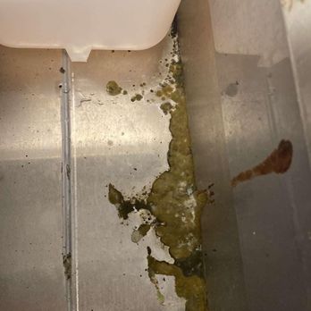 Sonic Drive-In - Filth - Burgers Near Me - Burlington, Iowa