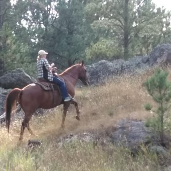 Hollingsworth Horses - Horseback Riding Near Me - Custer, South Dakota Hollingsworth Horses - Horseback Riding Near Me - Custer, South Dakota