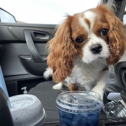 Empower Energy - Piper approved